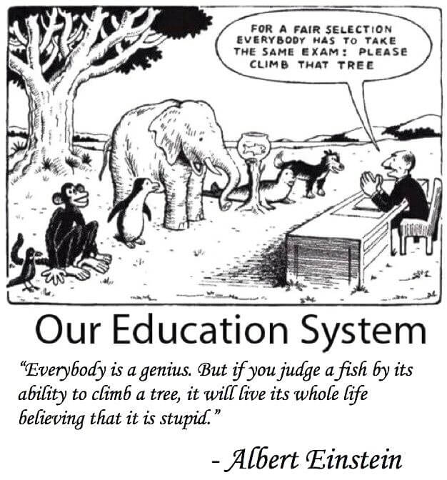 Our education system